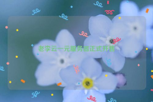老李云一元服务器正式开售