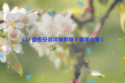 X-UI 面板安装详细教程（新手必看）